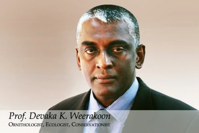 Discoveries Prof. Devaka K. Weerakoon 9_2