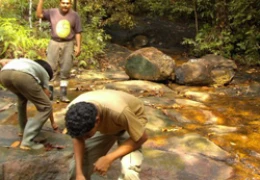Photo Gallery field work in the wet zone, Sri Lanka research_5